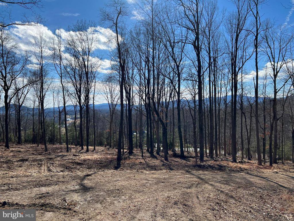 White Eagle, Lot 42, Charlottesville, VA 22903