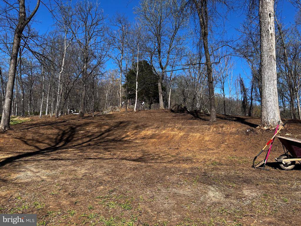 White Eagle, Lot 42, Charlottesville, VA 22903