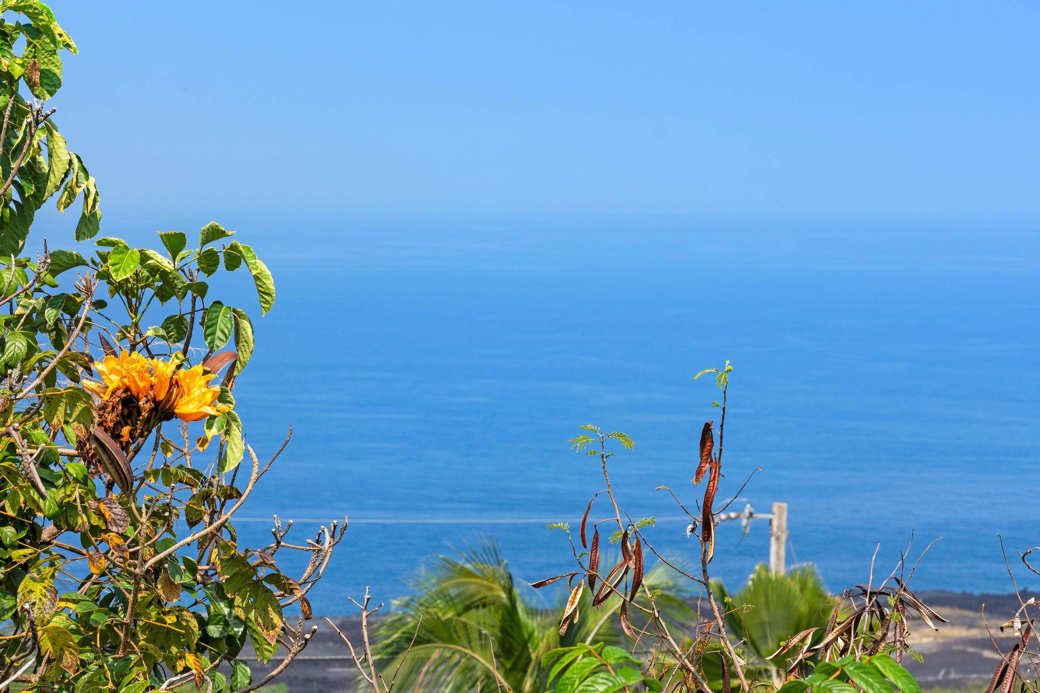 87-3205 Guava Rd, Captain Cook, HI 96704