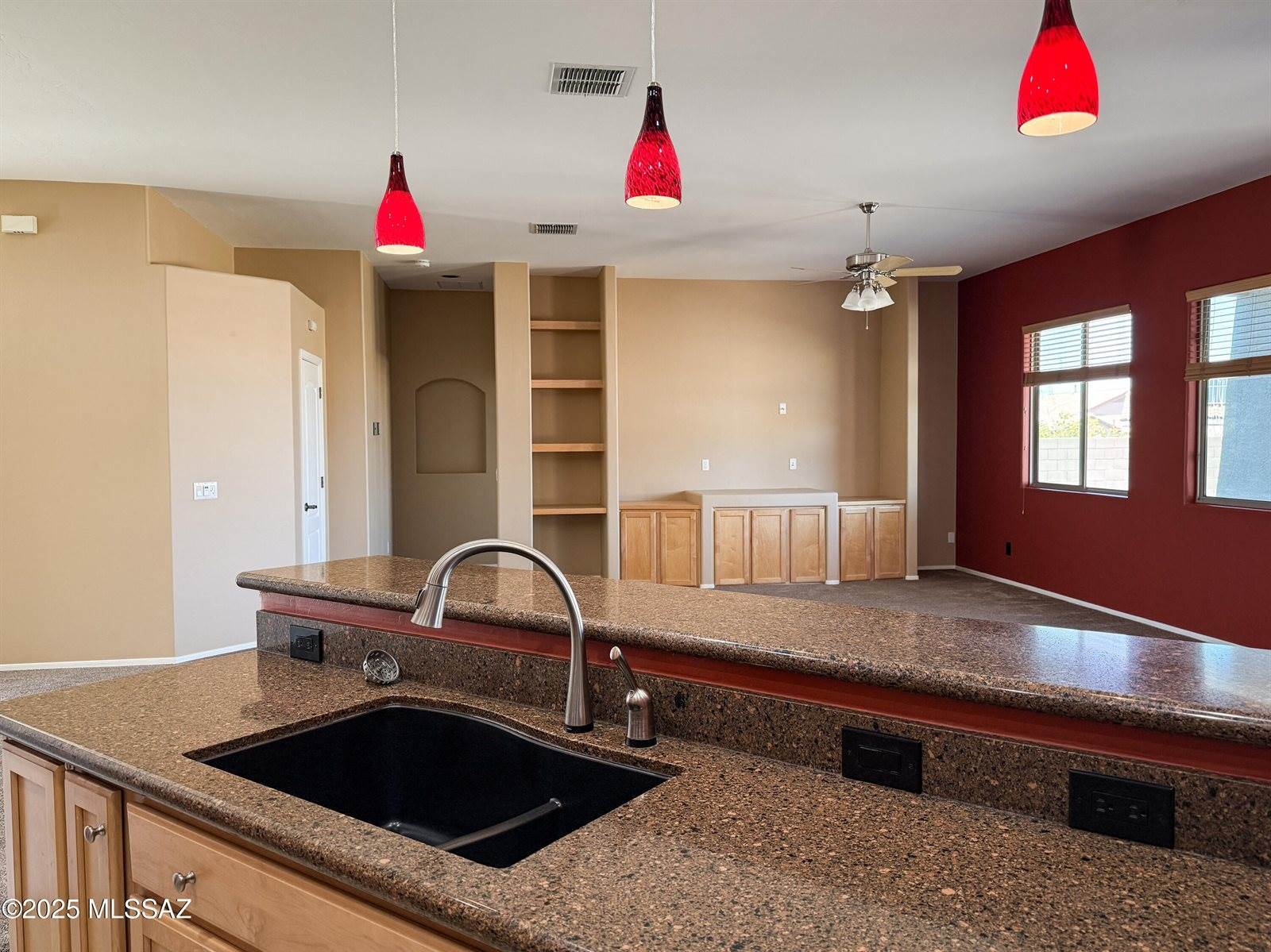 10495 East Heartleaf Willow Drive, Tucson, AZ 85747