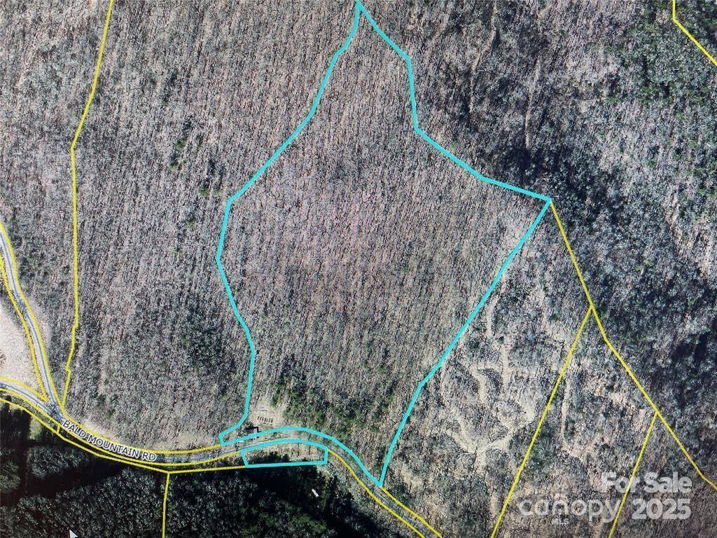 1782 Bald Mountain Road, Burnsville, NC 28714