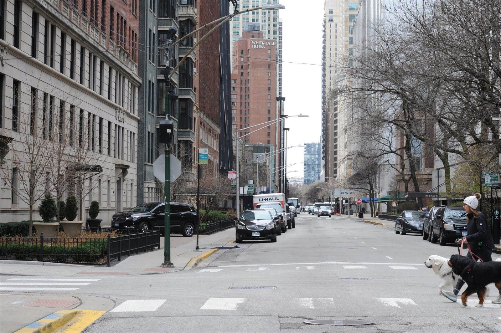 257 East Delaware Place, #7C, Chicago, IL 60611