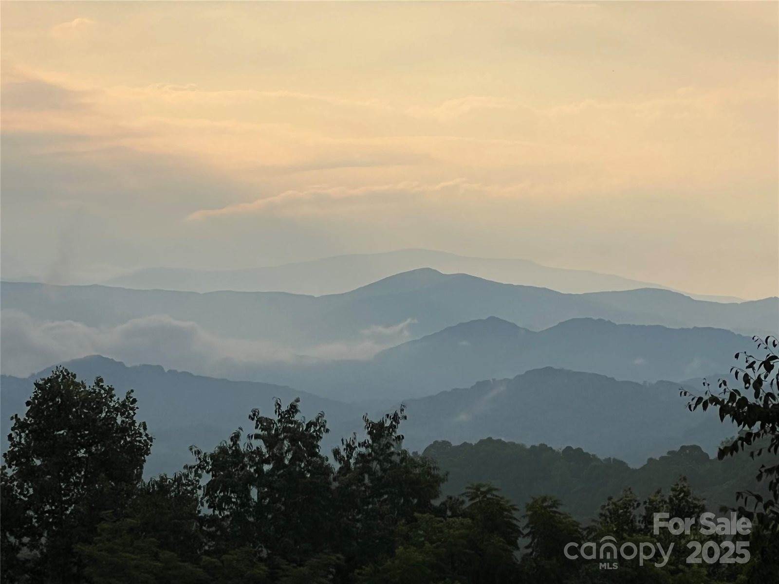 290 Tango Lane, Waynesville, NC 28786