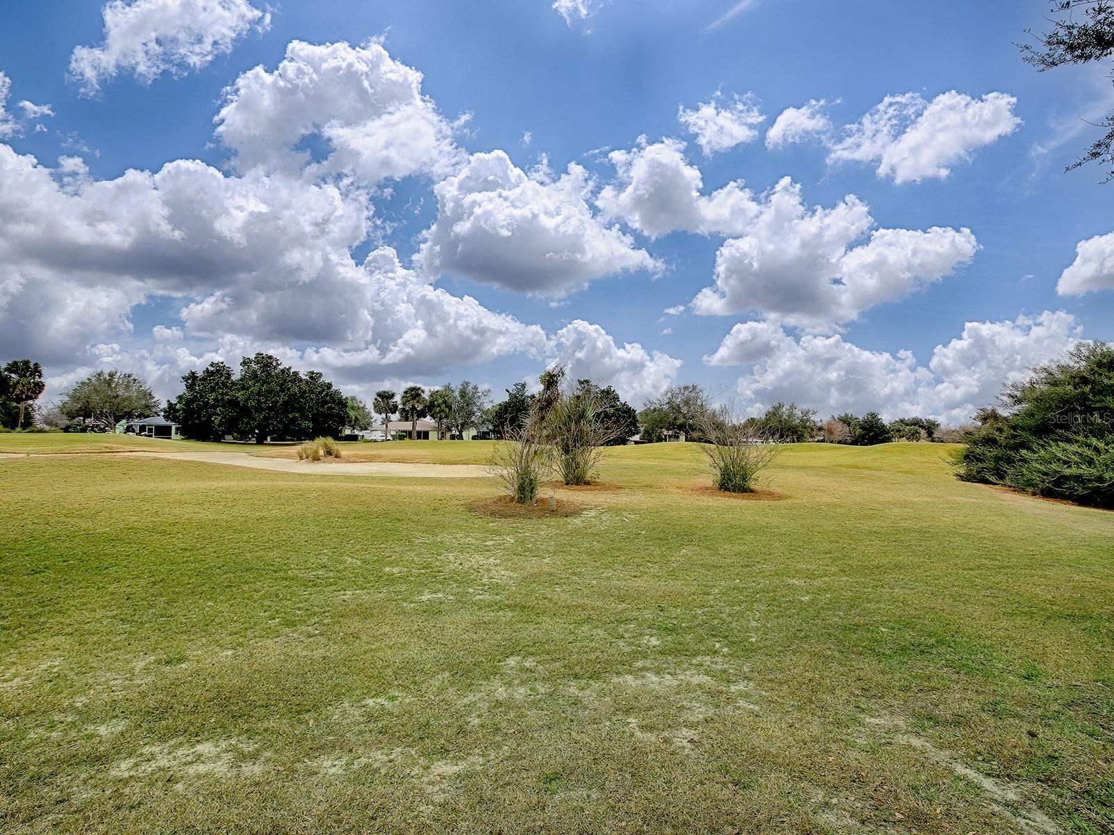 1573 Blenheim Trail, The Villages, FL 32162