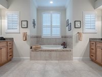 1573 Blenheim Trail, The Villages, FL 32162