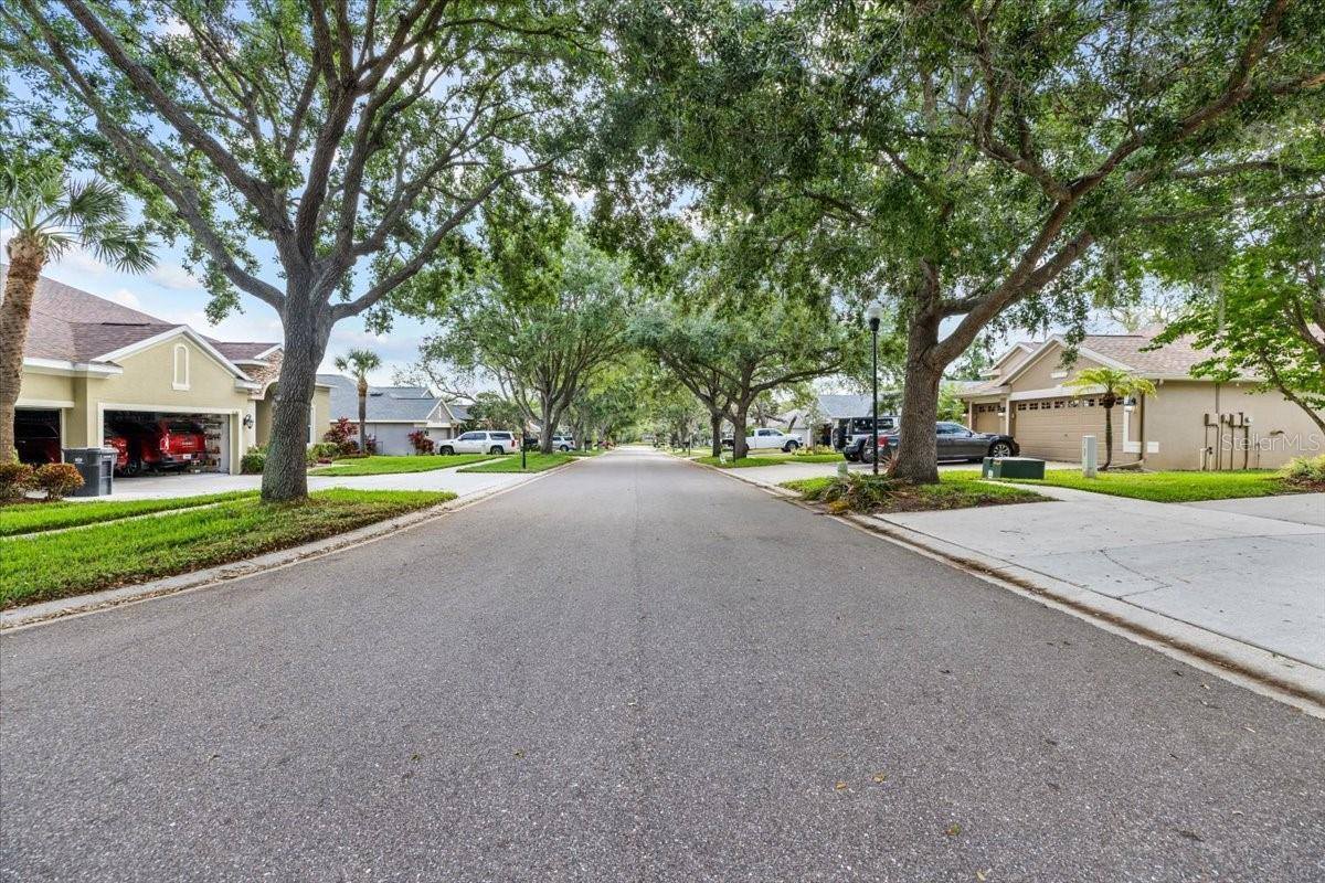 11139 Bridgecreek Drive, Riverview, FL 33569