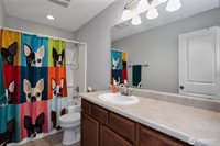 Listing Photo 29