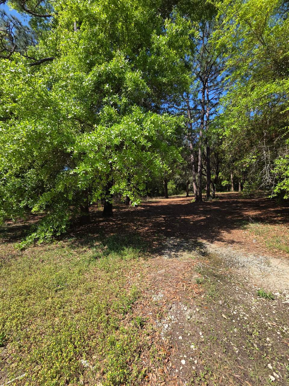 6516 Renee Circle, Milton, FL 32583