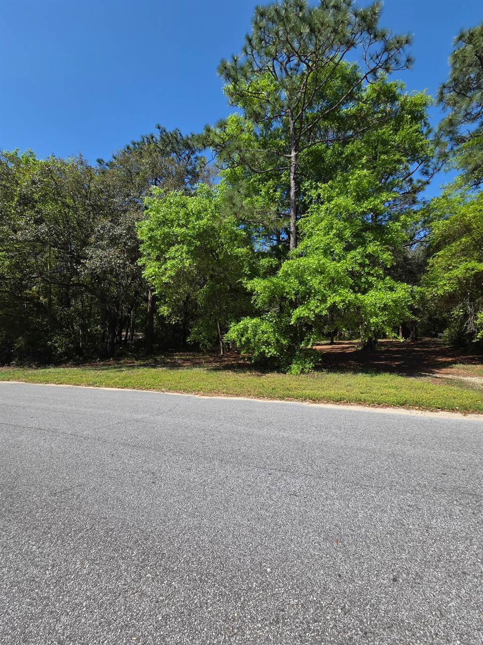 6516 Renee Circle, Milton, FL 32583