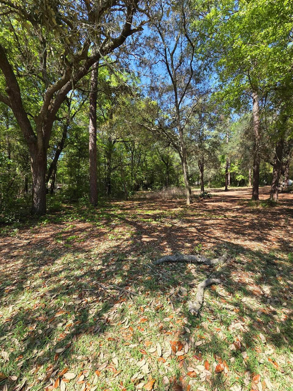 6516 Renee Circle, Milton, FL 32583