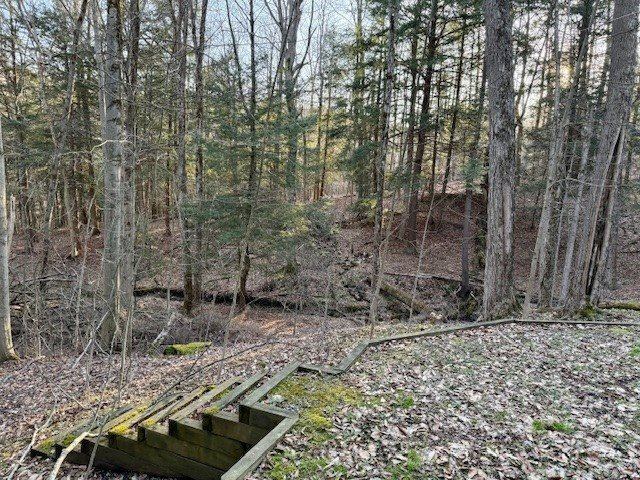 8417 Dake Hill Road, Otto, NY 14719
