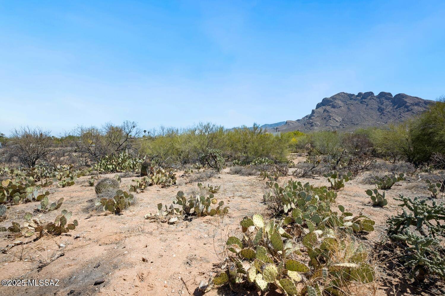 718 West Placita De La Poza, Tucson, AZ 85704