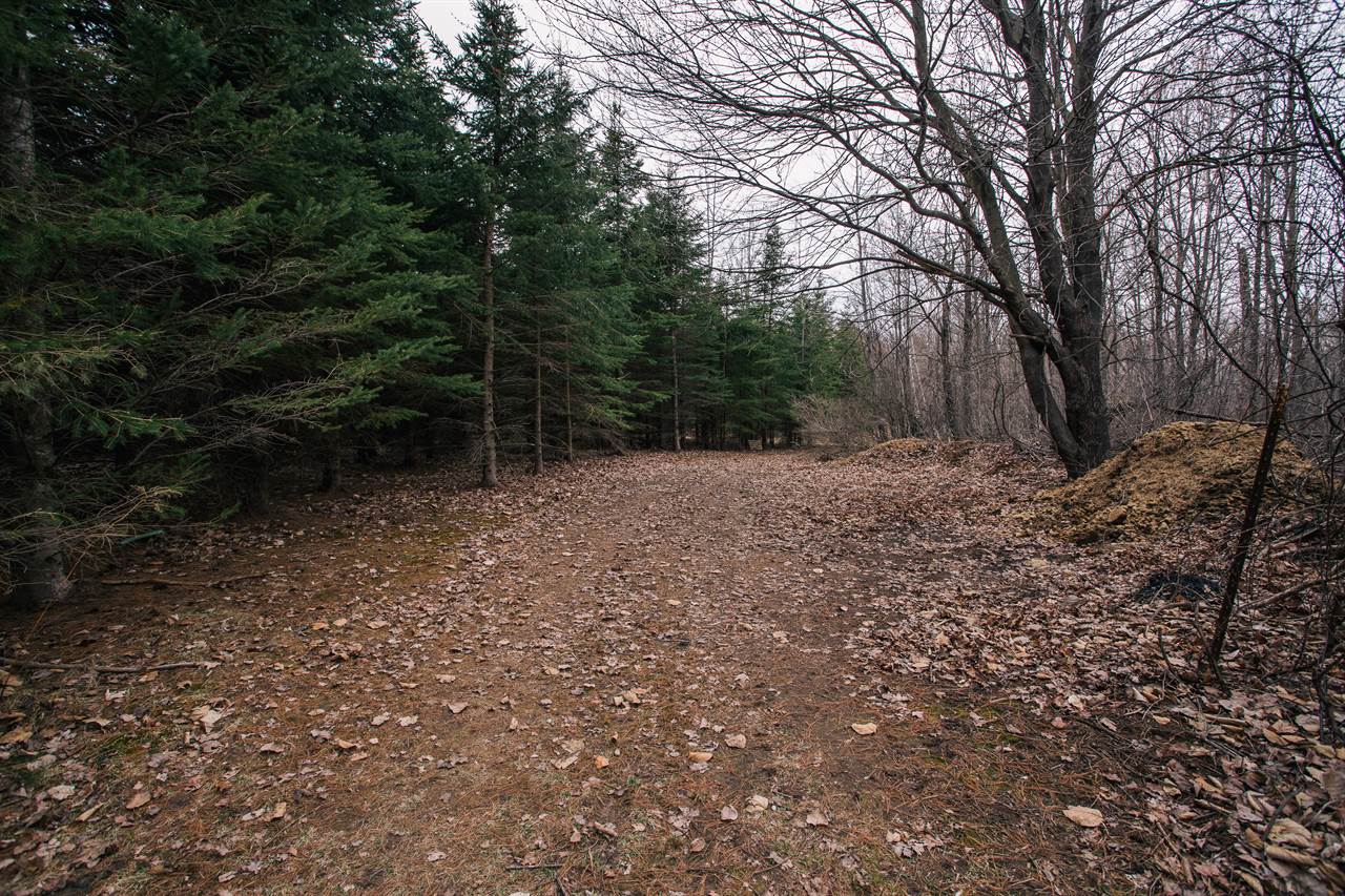 W6126 Sladich Road, Greenwood, WI 54437