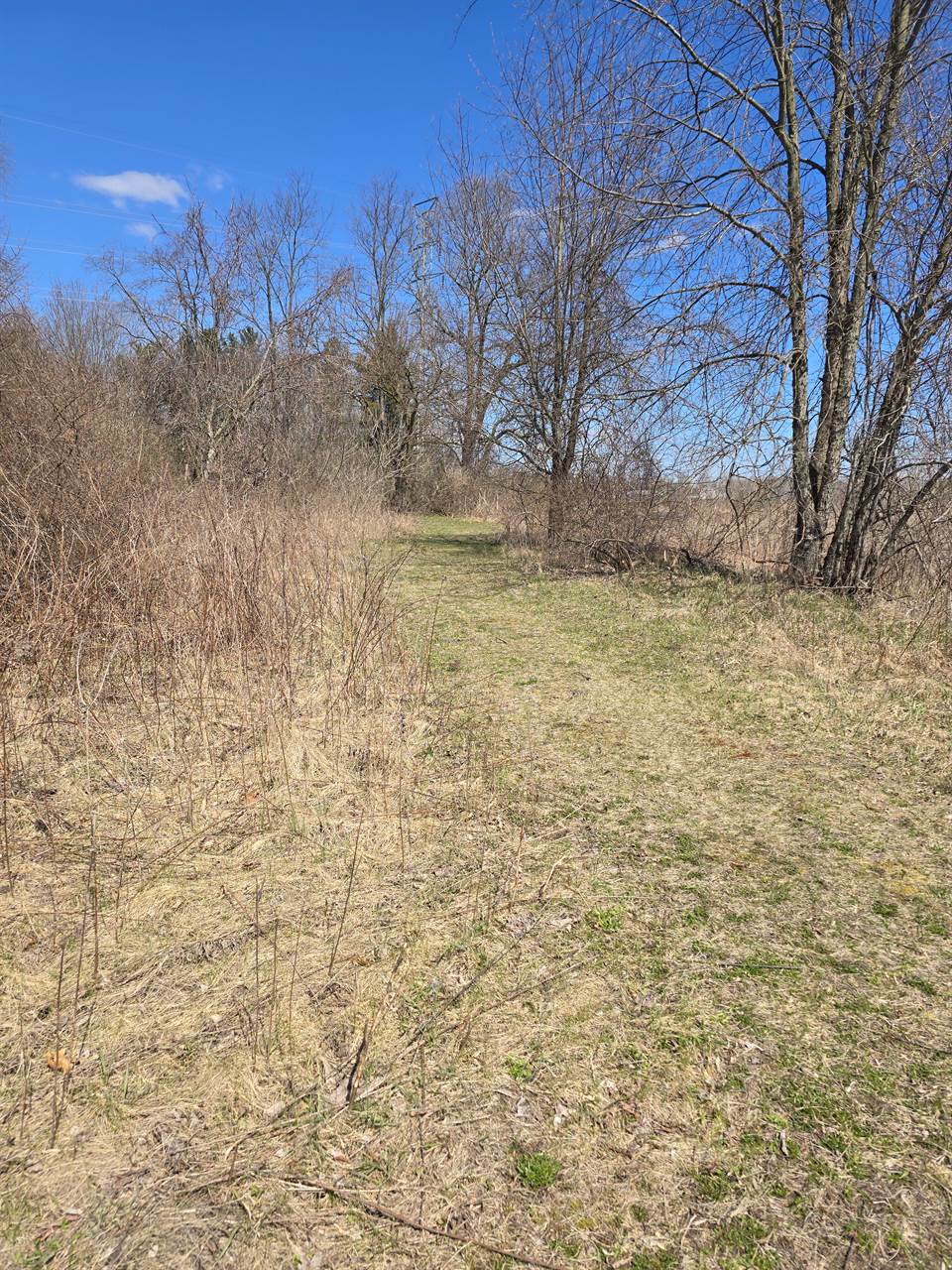25060 Milford Road, LyonCharterTownship_Oakland, MI 48178