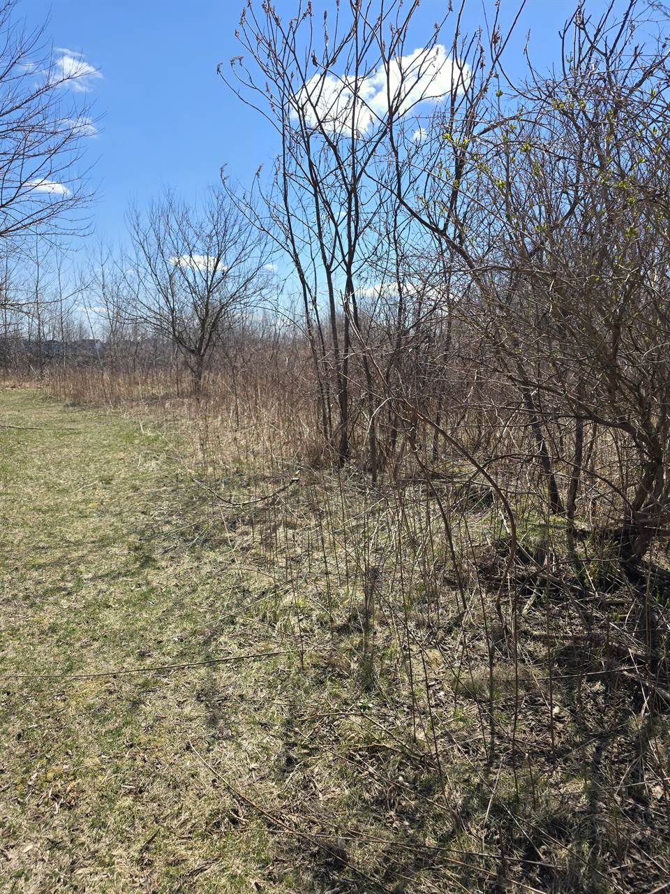 25060 Milford Road, LyonCharterTownship_Oakland, MI 48178