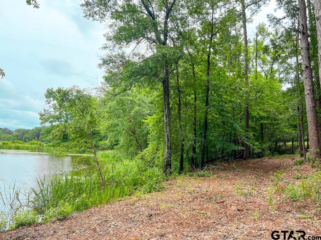 17961 Gordons landing rd, Arp, TX 75750