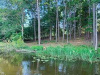 17961 Gordons landing rd, Arp, TX 75750