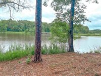 17961 Gordons landing rd, Arp, TX 75750