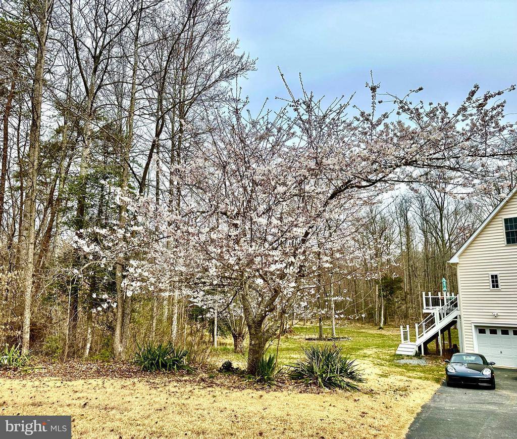 11201 Cinnamon Teal Drive, Spotsylvania, VA 22553