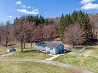 193 Fenner Hill Road, Port Crane, NY 13833