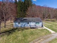 193 Fenner Hill Road, Port Crane, NY 13833