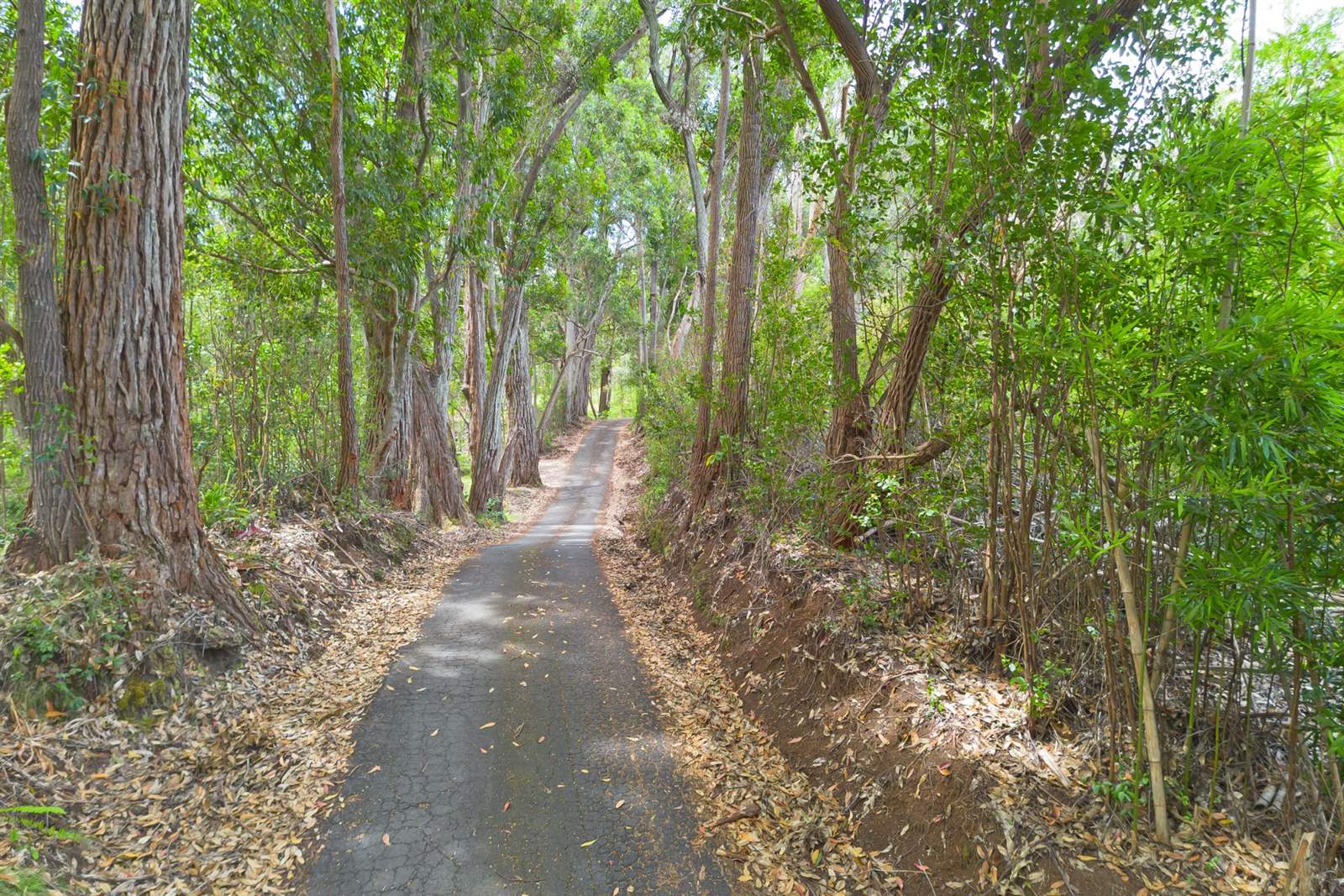 Kukuipapa Rd, Honokaa, HI 96727