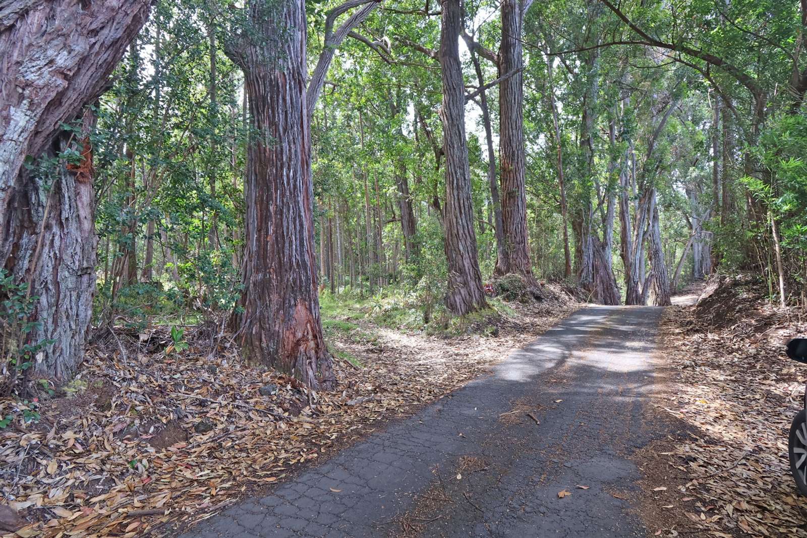 Kukuipapa Rd, Honokaa, HI 96727