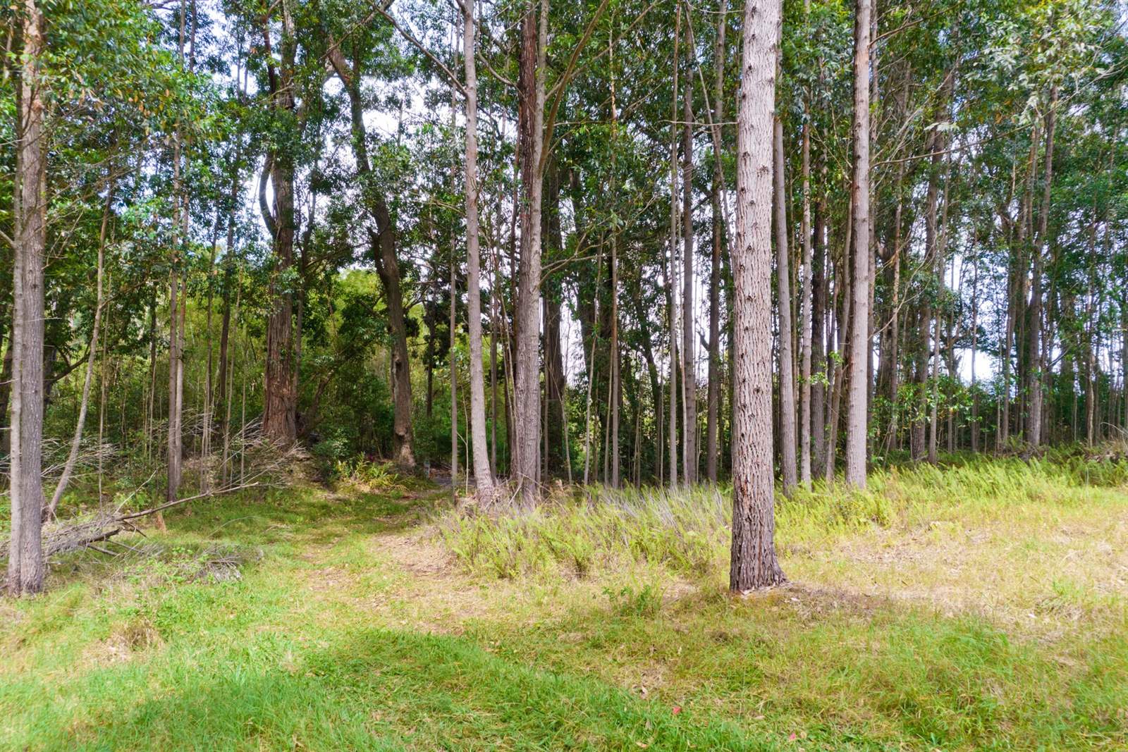 Kukuipapa Rd, Honokaa, HI 96727