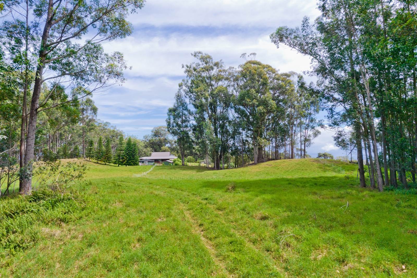 Kukuipapa Rd, Honokaa, HI 96727