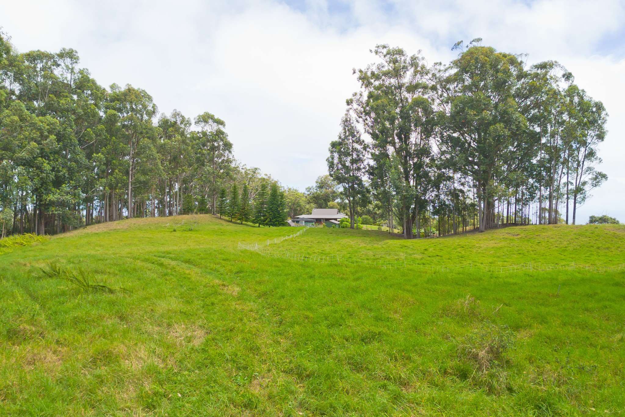 Kukuipapa Rd, Honokaa, HI 96727