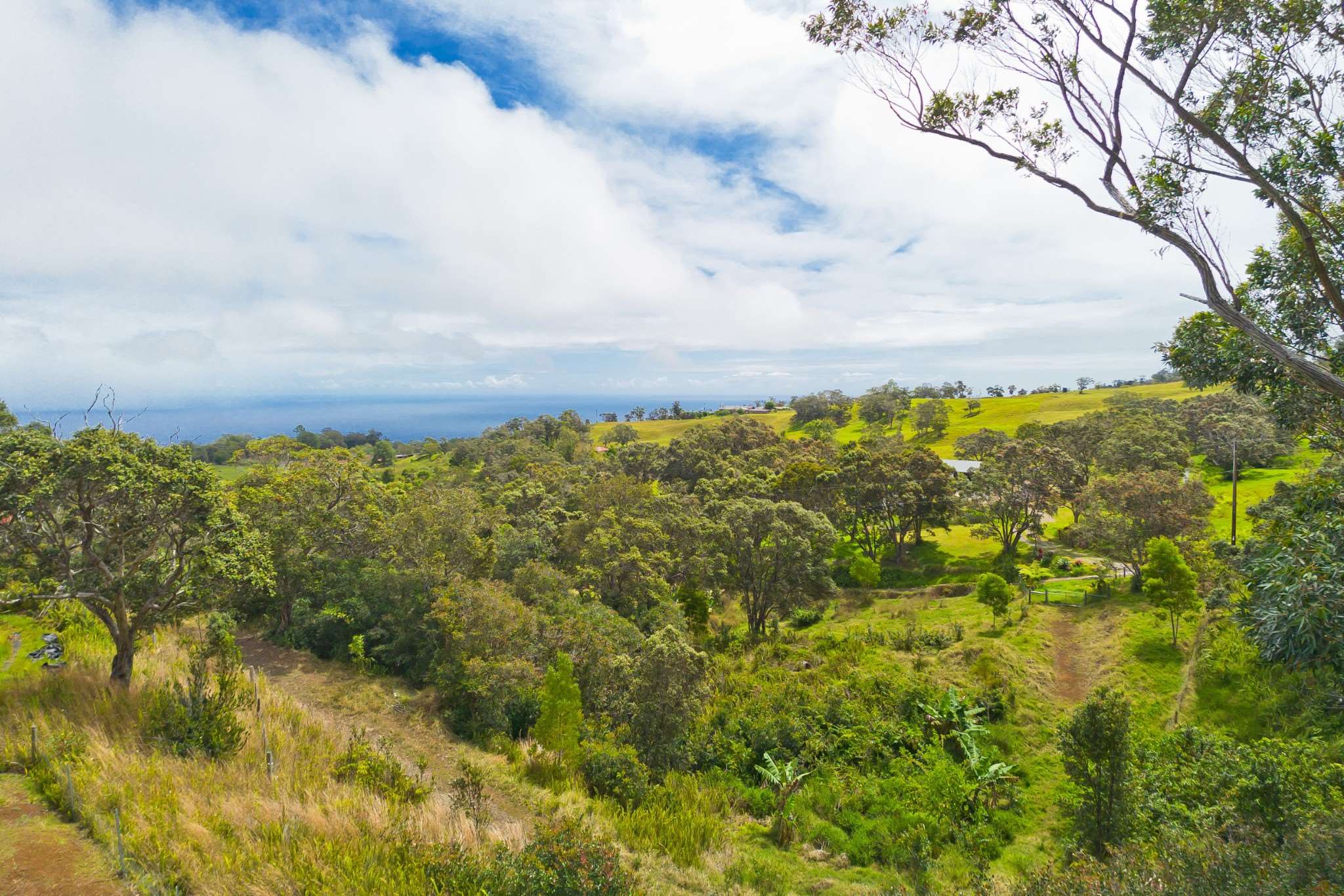 Kukuipapa Rd, Honokaa, HI 96727