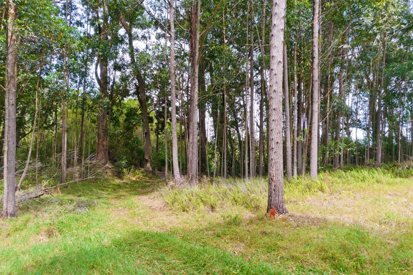 Kukuipapa Rd, Honokaa, HI 96727