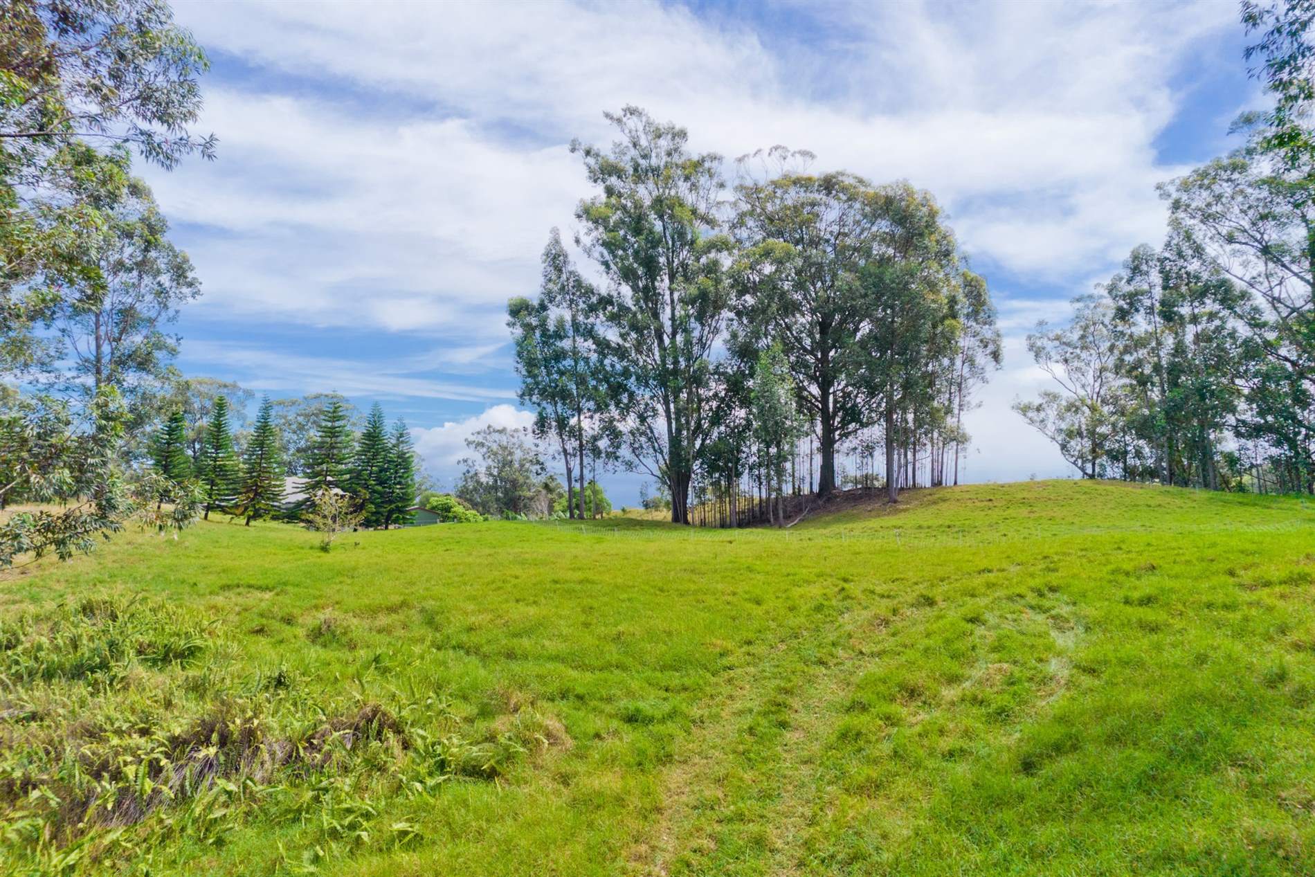 Kukuipapa Rd, Honokaa, HI 96727