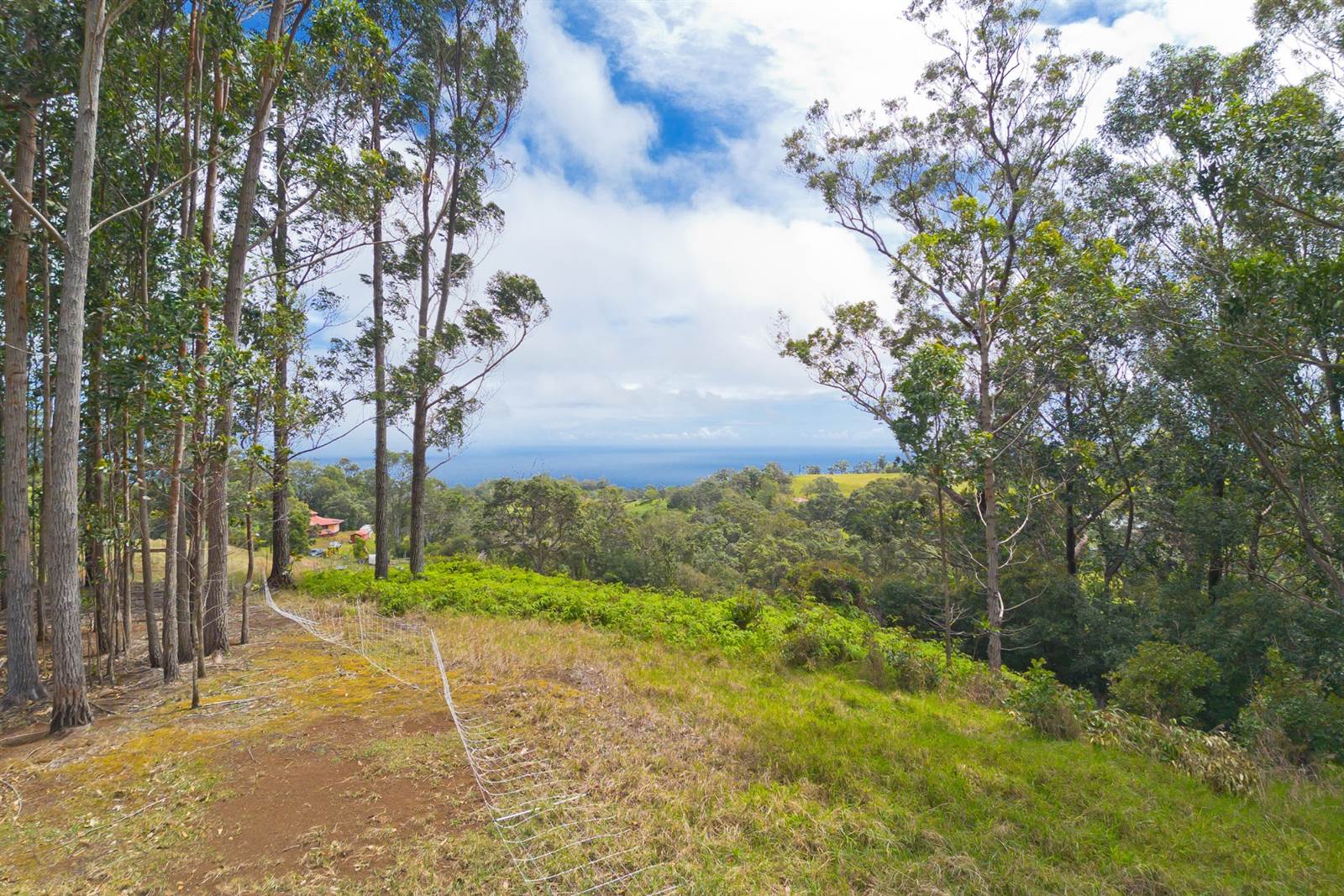 Kukuipapa Rd, Honokaa, HI 96727