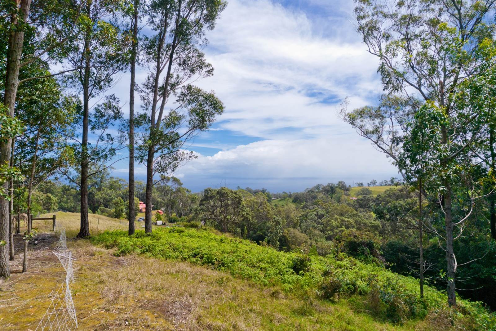 Kukuipapa Rd, Honokaa, HI 96727