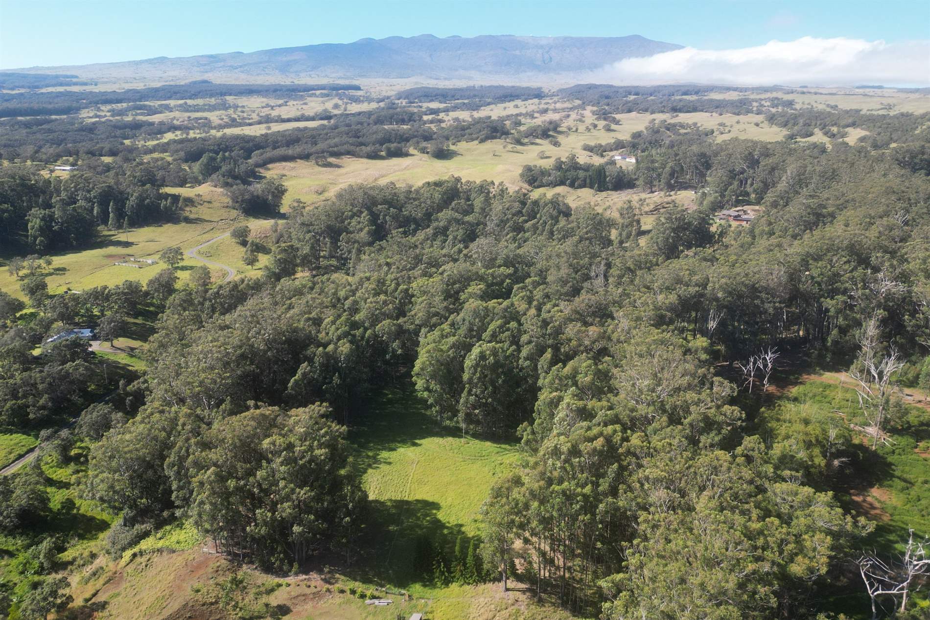 Kukuipapa Rd, Honokaa, HI 96727