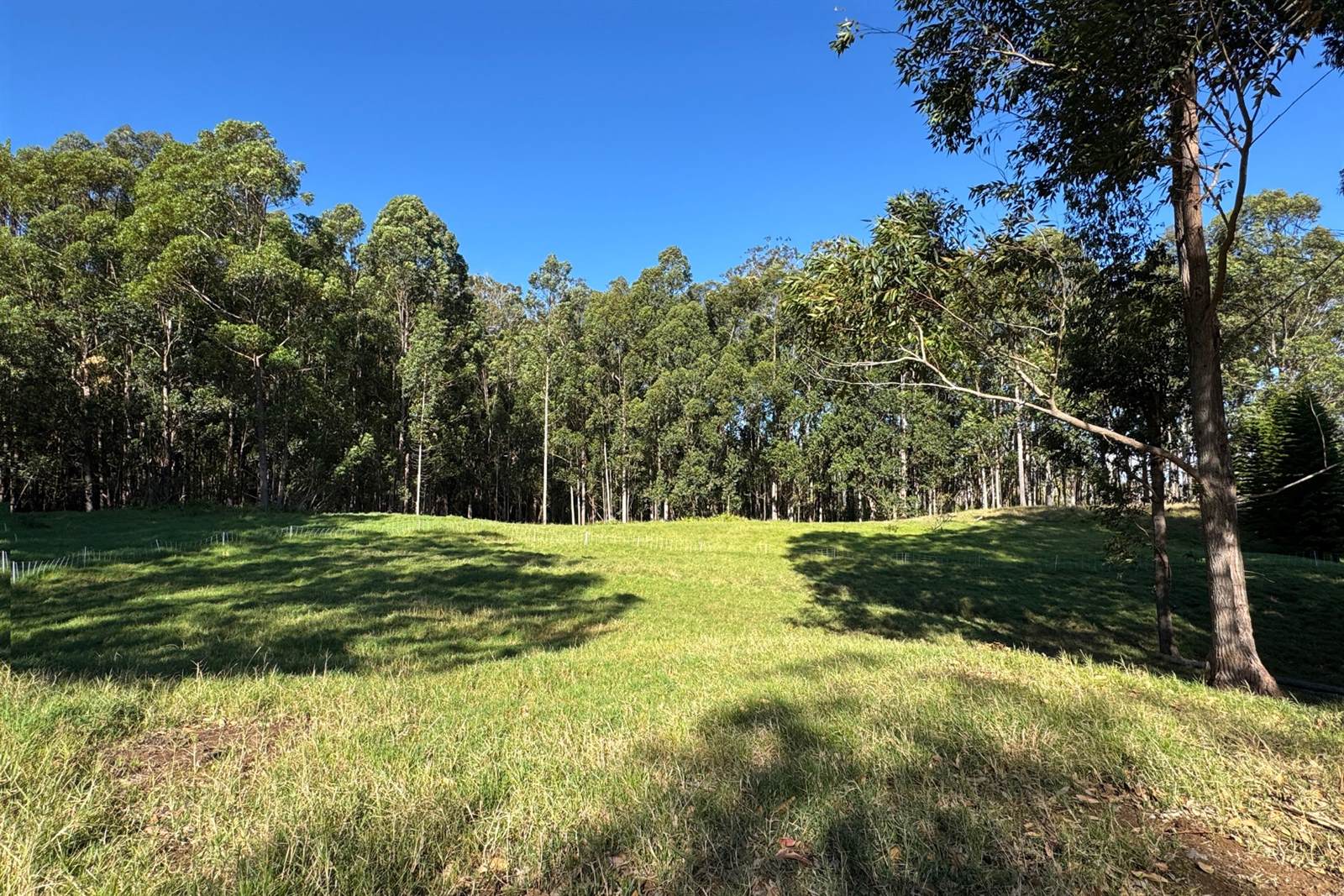 Kukuipapa Rd, Honokaa, HI 96727