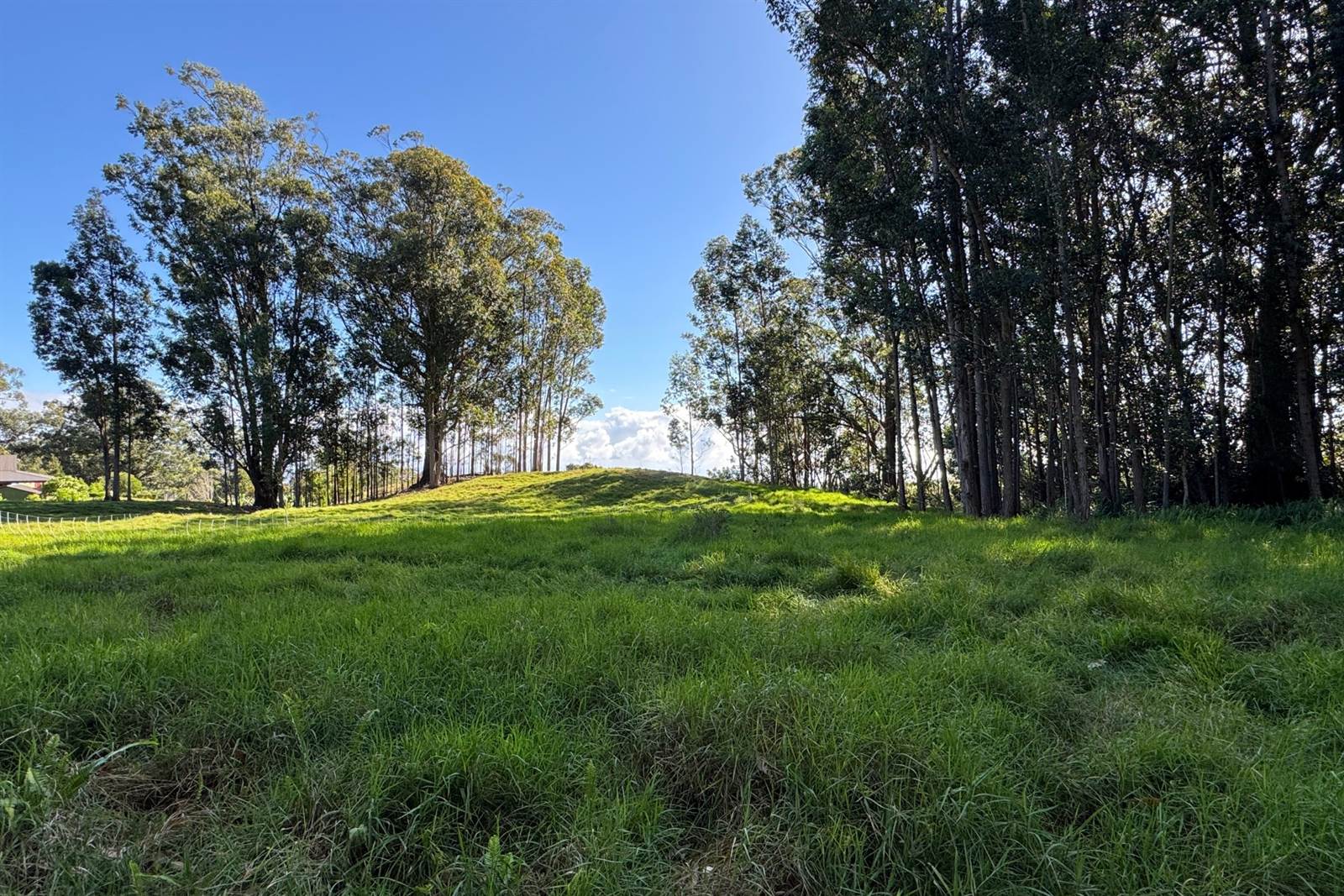 Kukuipapa Rd, Honokaa, HI 96727