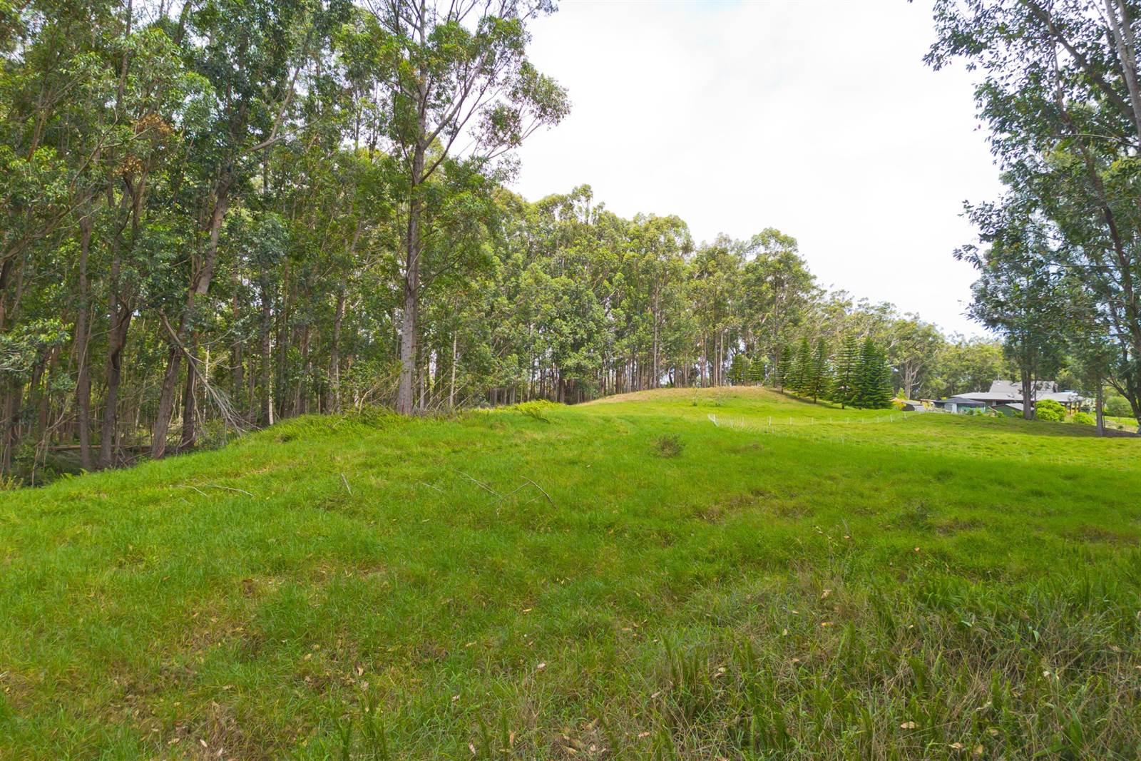 Kukuipapa Rd, Honokaa, HI 96727