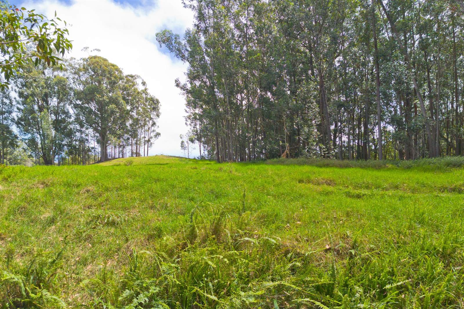 Kukuipapa Rd, Honokaa, HI 96727