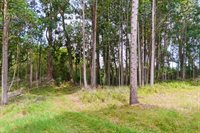 Kukuipapa Rd, Honokaa, HI 96727