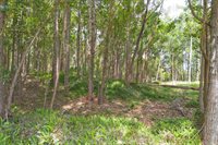 Kukuipapa Rd, Honokaa, HI 96727