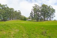 Kukuipapa Rd, Honokaa, HI 96727