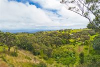 Kukuipapa Rd, Honokaa, HI 96727