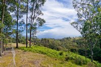 Kukuipapa Rd, Honokaa, HI 96727