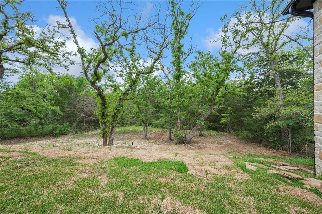 19363 Moonlit Hollow Loop, College Station, TX 77845