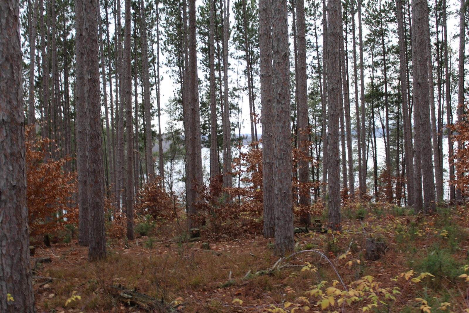 VL M-37, Mesick, MI 49668