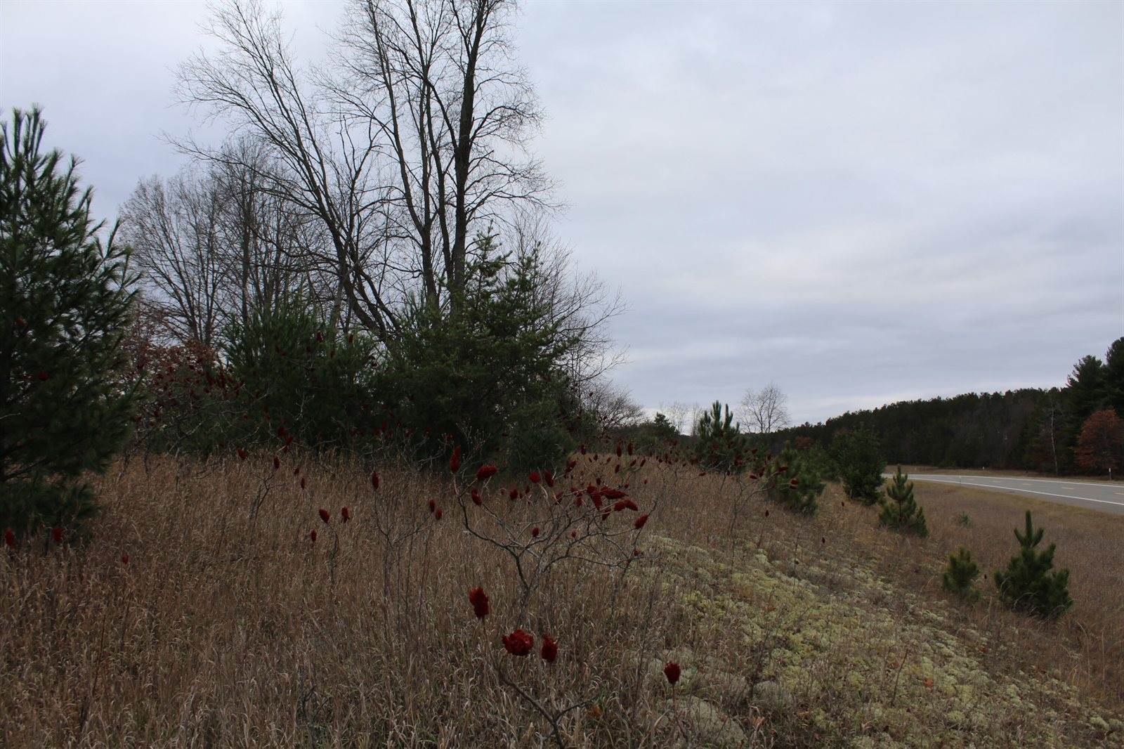 VL M-37, Mesick, MI 49668