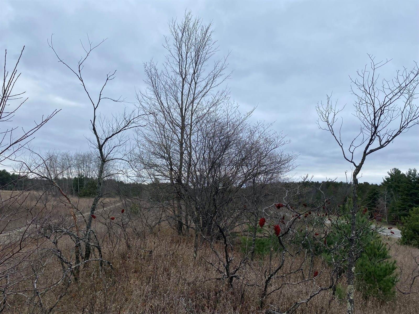 VL M-37, Mesick, MI 49668