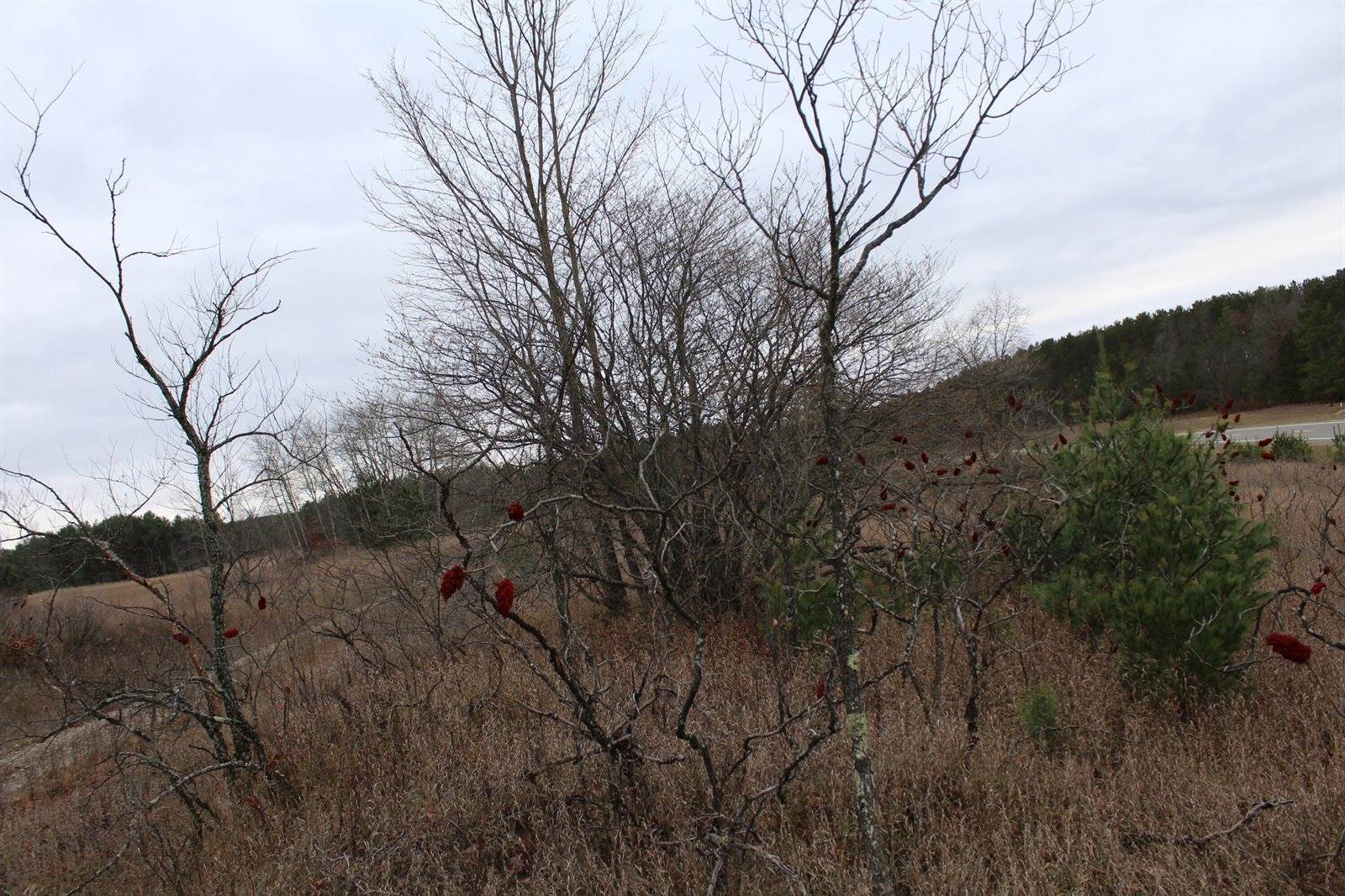 VL M-37, Mesick, MI 49668